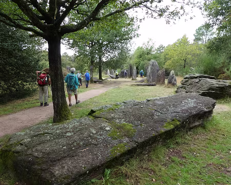 016 Les Menhirs de Monteneuf (Morbihan), ou « Pierres droites », sont au nombre de deux cents. Trente-neuf d’entre eux ont été redressés