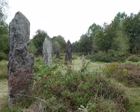 017 Ces menhirs sont alignés selon sept files de direction E-O
