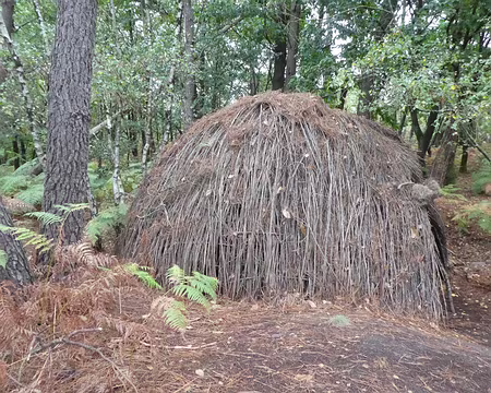 023 Une hutte dans la forêt