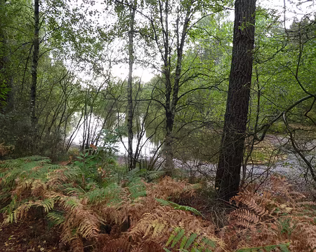 025 L’étang du Chaperon rouge