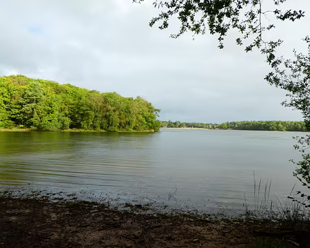 039 Le lac de Trémeulen (Ille-et-Vilaine)