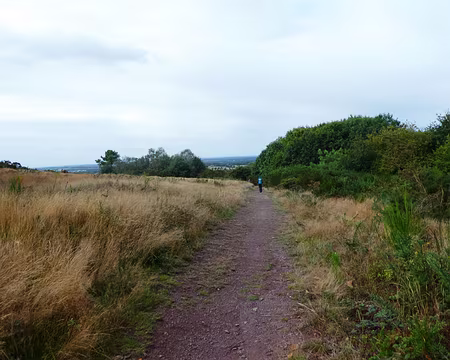 051 Le GR 37 sur la Lande de Gurwant (Campénéac)