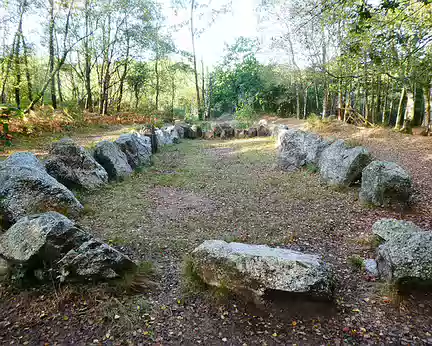 059 Le « Jardin aux moines » dans la forêt de Brocéliande est un tumulus néolithique (25 m de long)