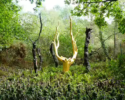 061 »L’Arbre d’or» dans le Val sans retour (Brocéliande) est un châtaigner recouvert de feuilles d’or (Davin, 1984) dont la forme des branches évoque les bois d’un...