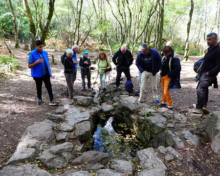 069 La Fontaine de Barenton, lieu légendaire de Brocéliande