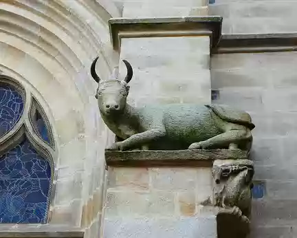 075 Le « Bœuf au repos », attribut de saint Luc, sur la façade nord de l’église