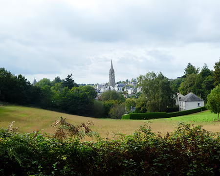 085 Josselin et son église dans un cadre de verdure