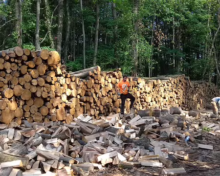 016 Les forestiers à l(œuvre dans la forêt de Piscop