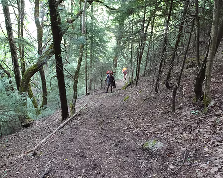 DSC00167 Montée raide et longue