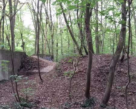 017 Vestiges de la deuxième guerre mondiale dans la forêt