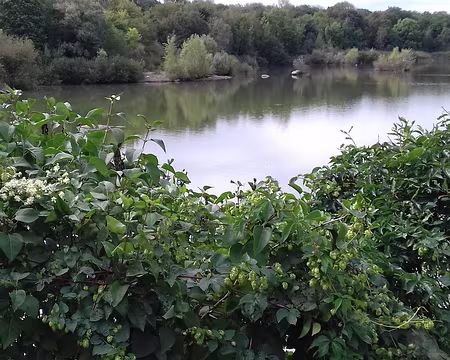 022 … est une ancienne gravière