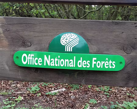 033 La forêt est gérée par l’ONF