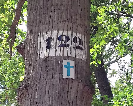 038 Le Sentier des oratoires