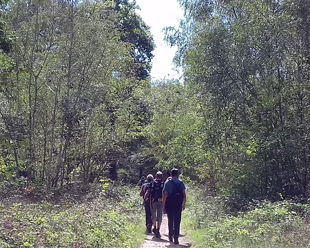 039 Sur le chemin du retour