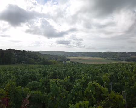 P1130064 Vallée de la Marne et le clocher de l'église de Crouttes-sur-Marne