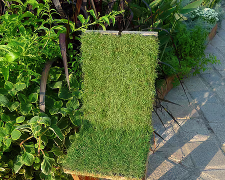 06 Une chaise pour ma collection (place Stanislas)