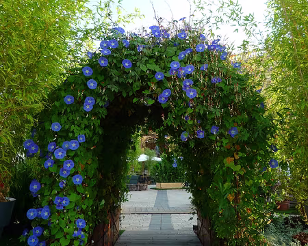 07 Jardin éphémère sur la place Stanislas