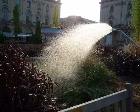09 Jardin éphémère sur la place Stanislas