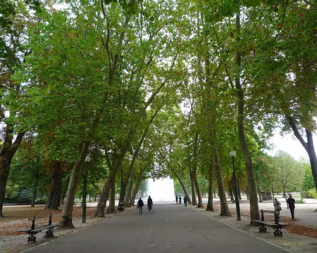36 Pique nique au parc de la Pépinière