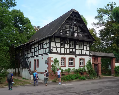 51 Maison alsacienne dans le parc Sainte Marie