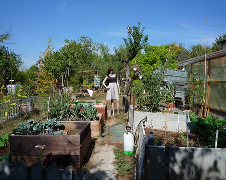 80 Balade dans les vergers : épouvantails ?