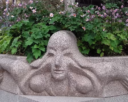 037 Sirène et anémones du Japon