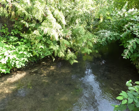 029 La Viosne, longue de 28 km, est un affluent de l’Oise