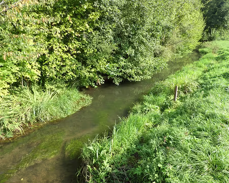 049 La Viosne à Santeuil