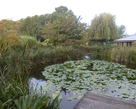 P1130189 sa pièce d'eau et son kiosque évoquent le jardin de Claude Monet à Giverny.