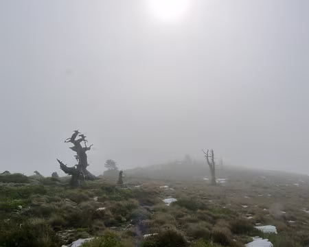 20201028-11h40m54s-P1150074-V3