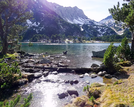 20201029-13h41m39s-P1150109-V3