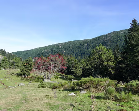 20201029-13h58m51s-P1150111-V3