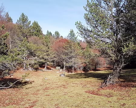 20201029-14h20m34s-20201029_142034-V3