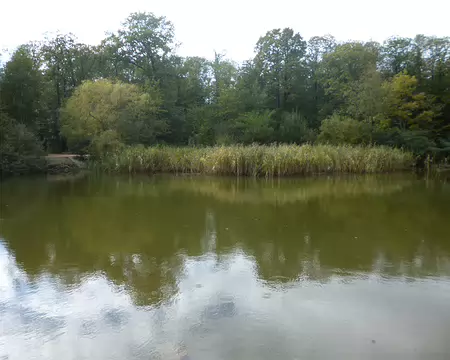 P1130276 Etang Godard (ancienne mare aux sangsues)