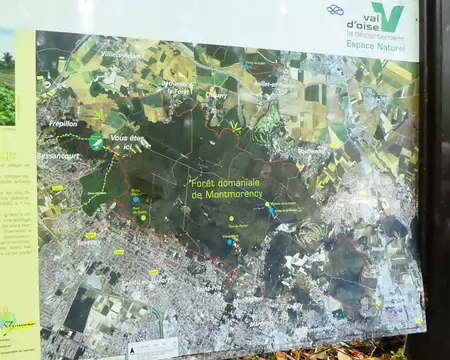 006 La Forêt domaniale de Montmorency (1972 ha) est la plus grande forêt du Val d’Oise