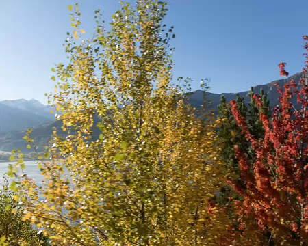 003_4V1A0120 et les couleurs de l’automne sont arrivées !