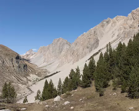 013_4V1A0175 Le Vallon vu du Creux des Souches