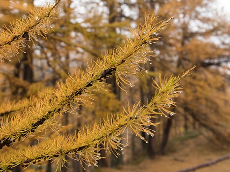 Philippe Philippe C, détail sortie