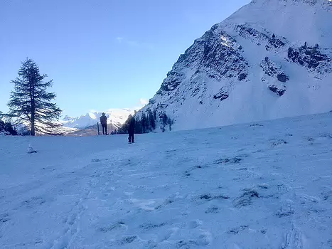 Olivier Olivier R détail sortie