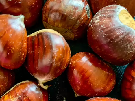 2020-10 Vallée de la Mérantaise