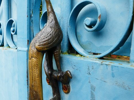 Jocelyne Jocelyne D, détail sortie