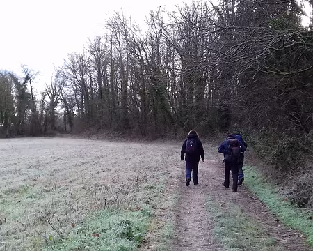 015 En lisière de forêt