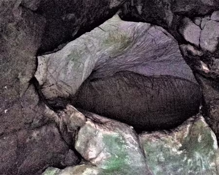 020 … pour ses gravures rupestres