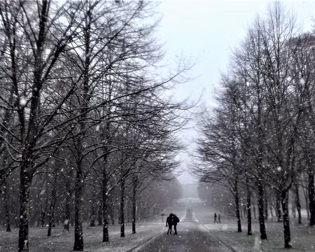 026 Le parc du Château de Chamarande
