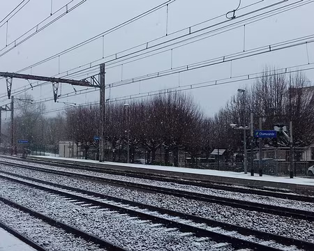 028 Merci à Michel pour cette randonnée hivernale dans le Parc naturel du Gâtinais