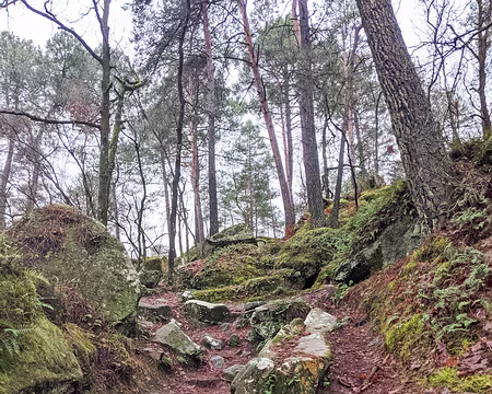 20210131-11h05m39s-PXL_20210131_100539208-V3 un peu de mousse