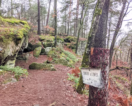 20210131-11h07m08s-PXL_20210131_100708959-V3 c'est pas l'enfer