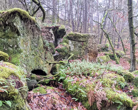 20210131-11h19m30s-PXL_20210131_101930298-V3