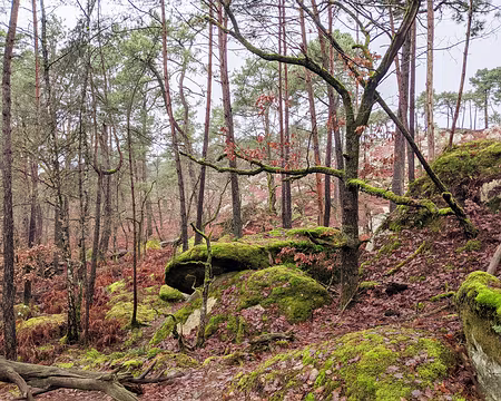 20210131-11h21m13s-PXL_20210131_102113555-V3