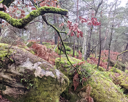 20210131-11h36m28s-PXL_20210131_103628906-V3